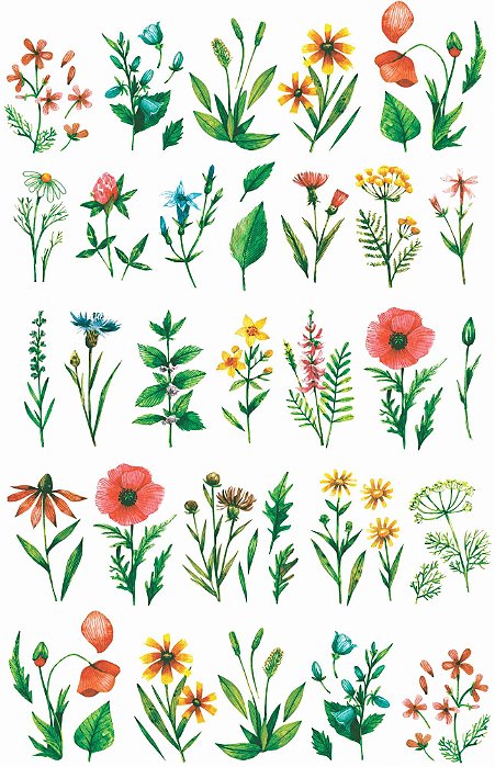 Decalque para Porcelana - Caminho de Flores