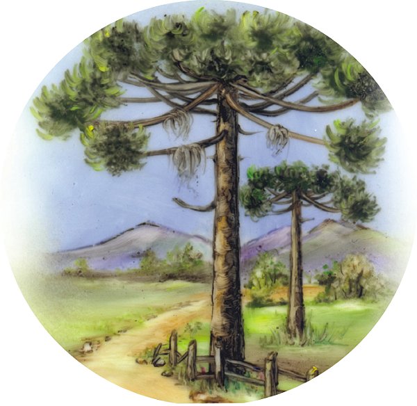 Decalque para Porcelana - Pinheiro Paisagem Estrada 19cm