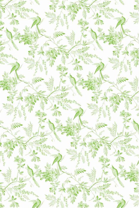 Decalque para Porcelana - Tapete Pequenos Pássaros VERDE