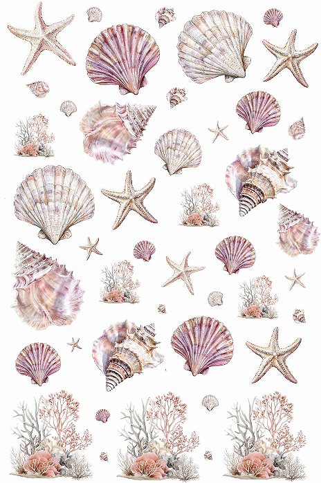 Decalque para Porcelana - Conchas Rosé