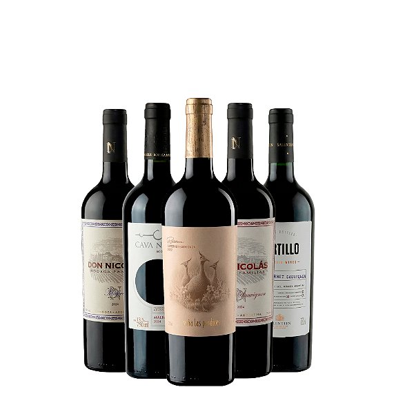 Kit Vinhos Argentinos