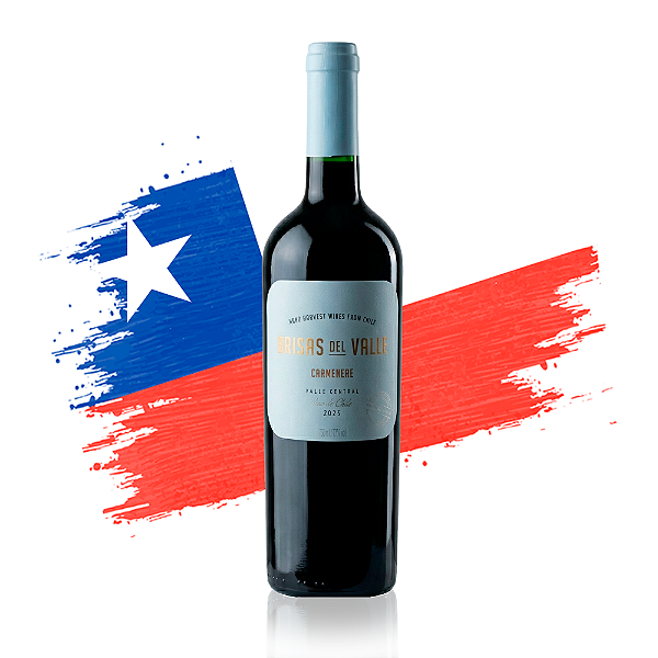 Vinho Brisas Del Valle Carmenere 750ml
