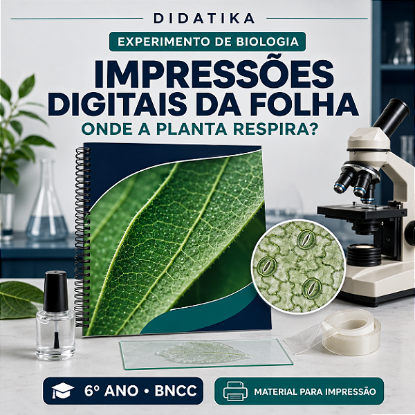 Experimento de Biologia – Impressões Digitais da Folha | 6º Ano