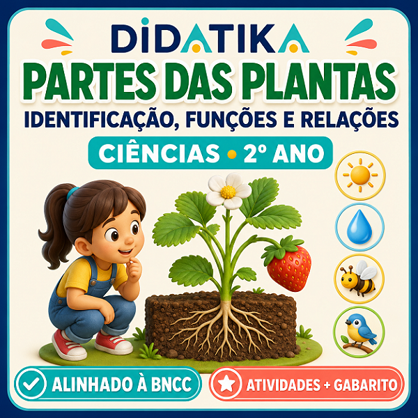 PARTES DAS PLANTAS – IDENTIFICAÇÃO, FUNÇÕES E RELAÇÕES | 2º ANO