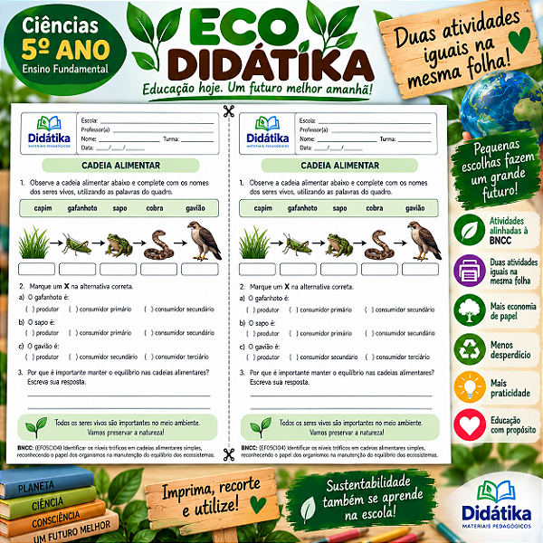 PACOTE ECO DIDÁTIKA – 2 ATIVIDADES IGUAIS POR FOLHA | 5º ANO DO ENSINO FUNDAMENTAL