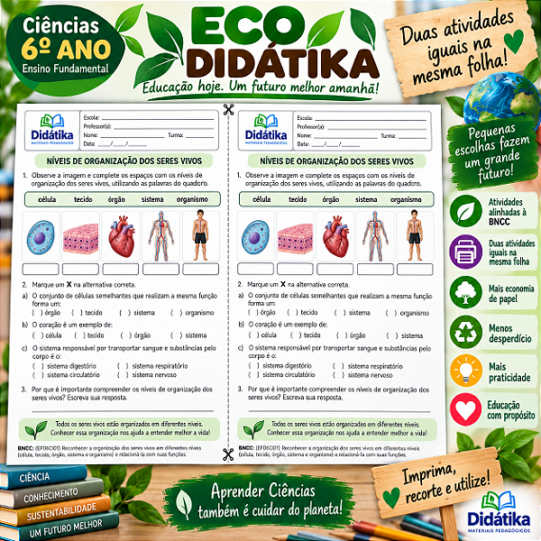 PACOTE ECO DIDÁTIKA – 2 ATIVIDADES IGUAIS POR FOLHA | 6º ANO DO ENSINO FUNDAMENTAL