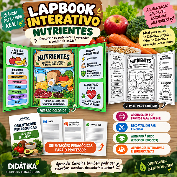 Lapbook Interativo – Nutrientes