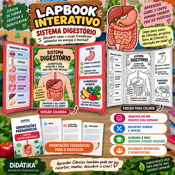Lapbook Interativo – Sistema Digestório