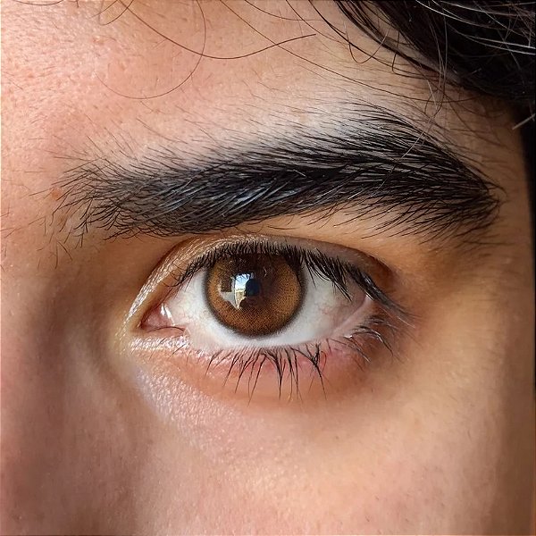 GLIMMER BROWN
