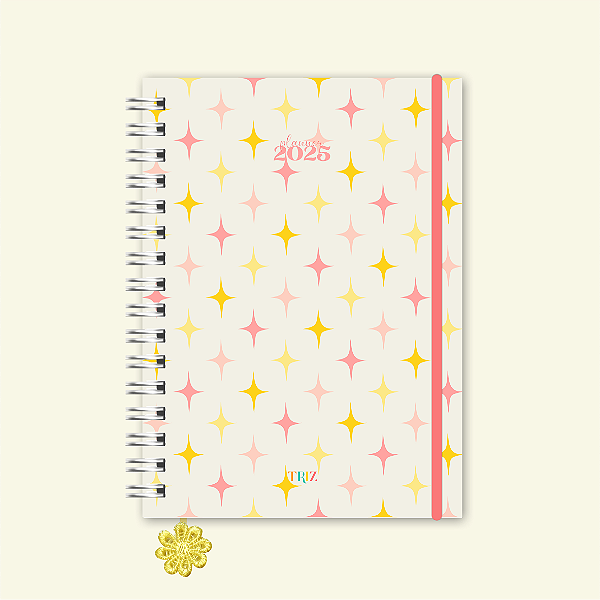 Planner 2025 - Alegria