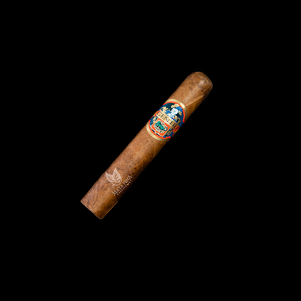 GENTILI ROBUSTO