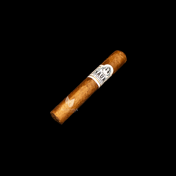 Bucanero's Isaura Delicata