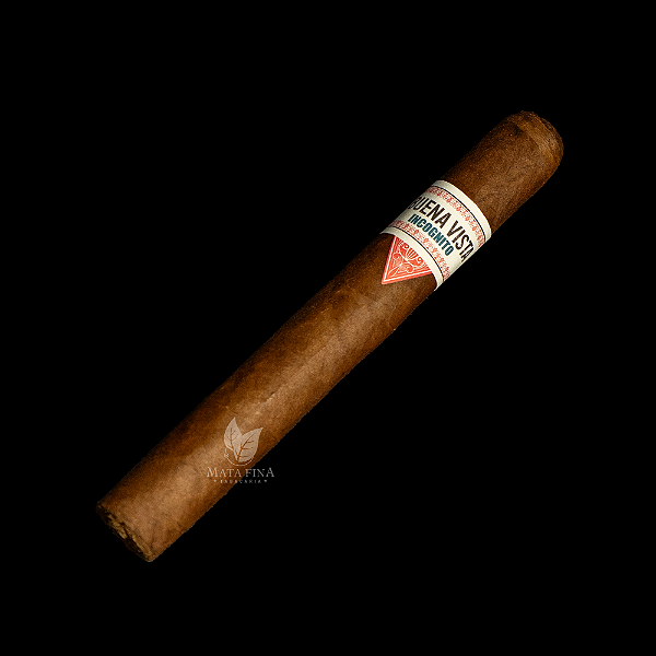 Buena Vista Incognito Toro