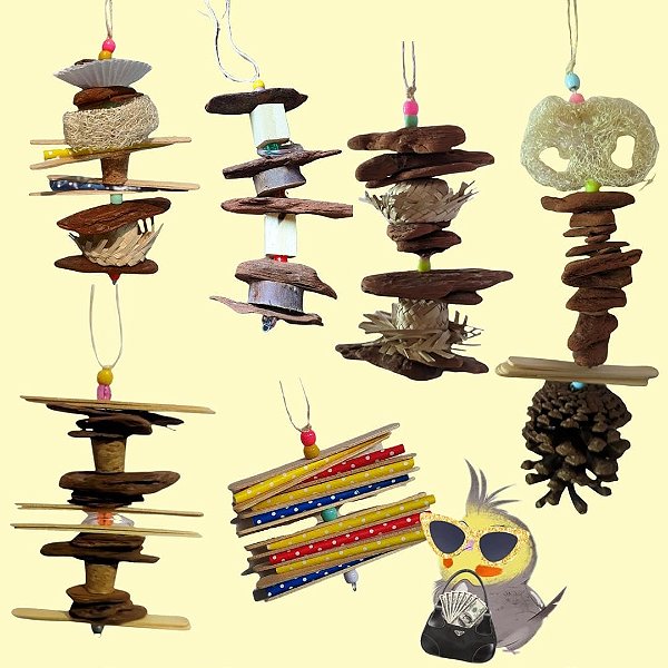 Kits brinquedos calopsita