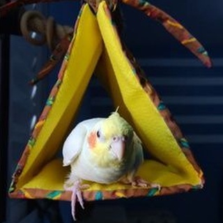 Cabaninha para Aves