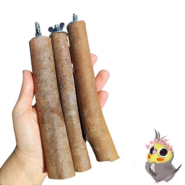 1 Poleiro Madeira Natural com suporte