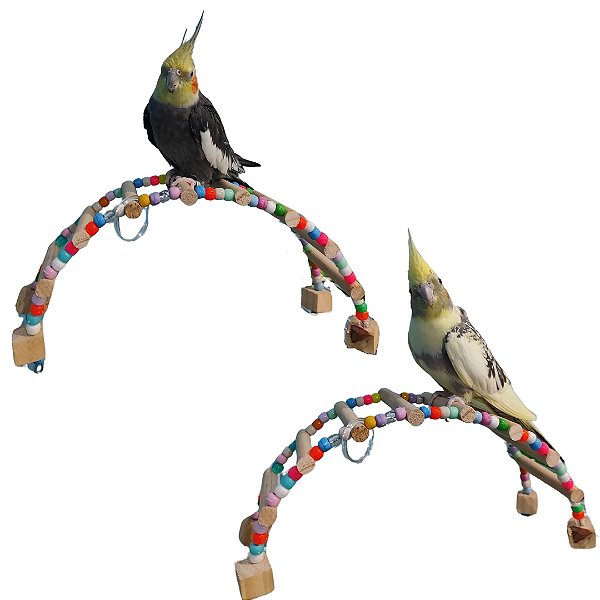 Ponte Interativa Calopsita, Enriquecimento Ambiental Aves