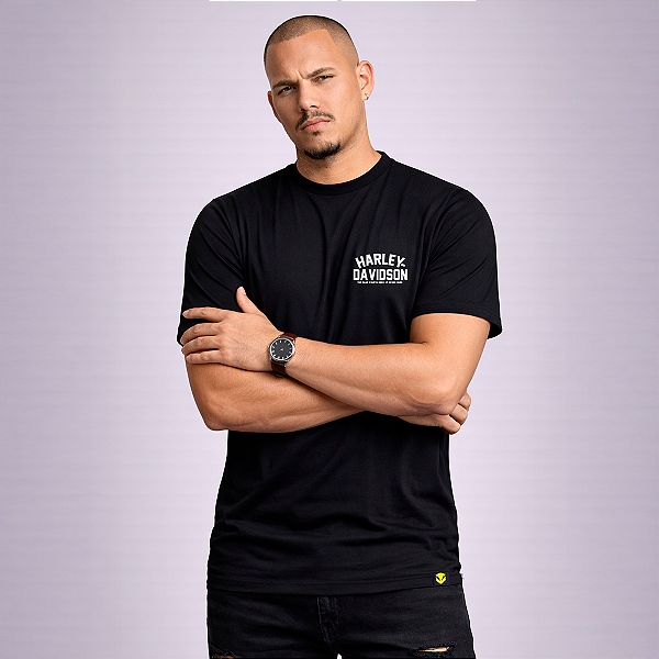 Camiseta Harley-Davidson Road Stars Minimalista