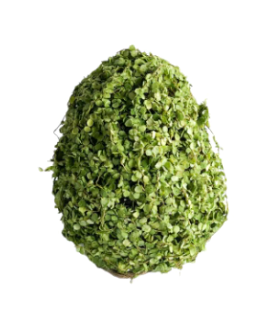 Ovo Folhagem 16CM