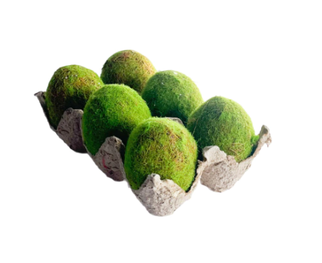 Bandeja c/ Ovos de Páscoa Decorativos Musgo 14cm (EN1807)