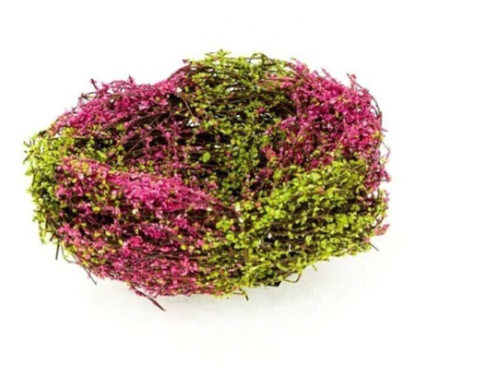 Ninho Rustico Rosa - 13cm