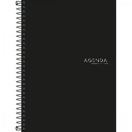 AGENDA EXECUTIVA ESPIRAL DIÁRIA 12,9 X 18,7 CM NAP