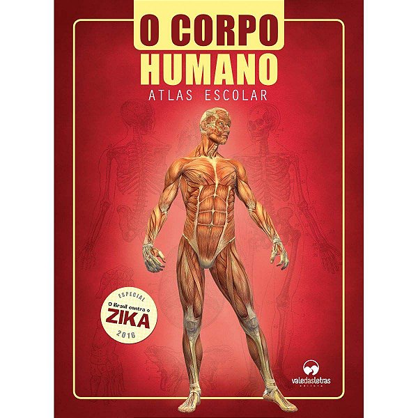 LIVRO ATLAS CORPO HUMANO ESCOLAR 32PGS