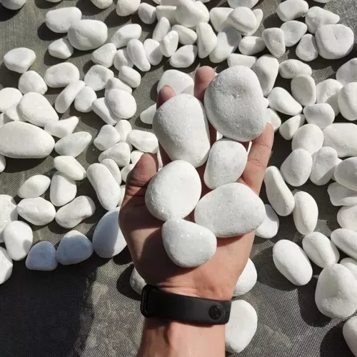 Seixo Branco Dolomita N°03 - 20kg