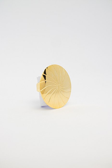 Anel Moderno Coleção Oval Orgânico Acabamento Acetinado