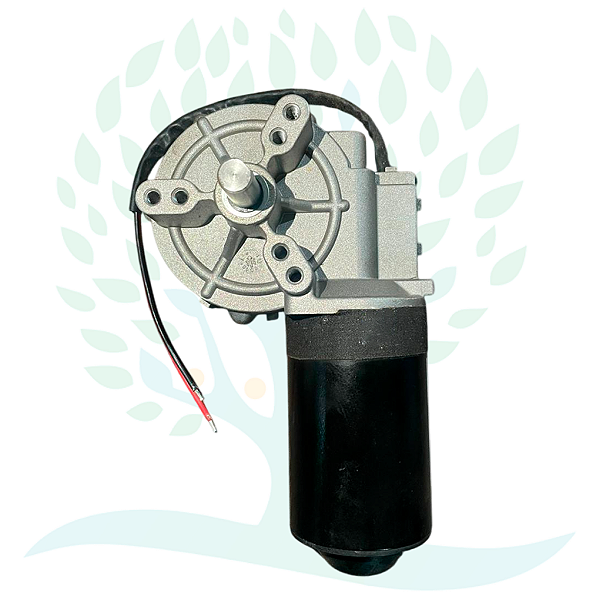 Motor Eletronico 12v