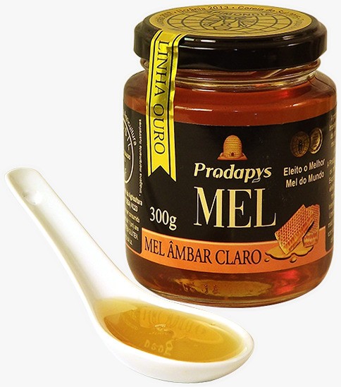 Mel Âmbar Premiado Medalha de Ouro 300g - Prodapys