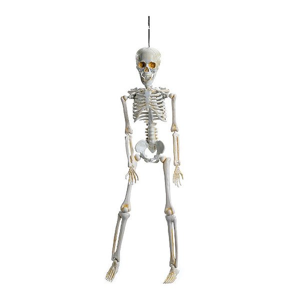 Caveira Amom 40cm para Decoração de Halloween - 1 Un