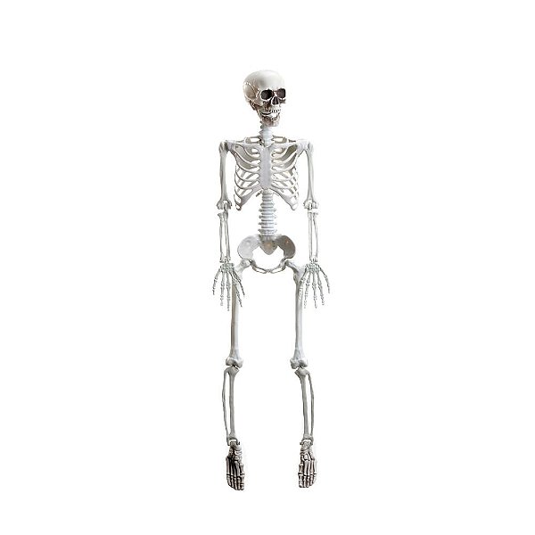 Esqueleto Articulado Xavier Halloween 92cm - 1 Un