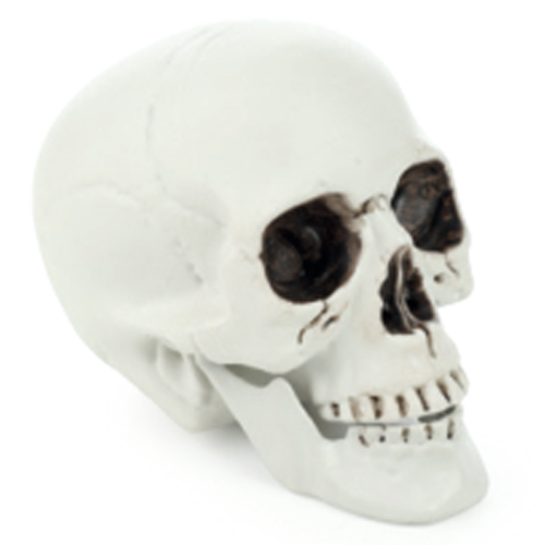 Crânio Blake Decoração Halloween 16cm - 1 Un