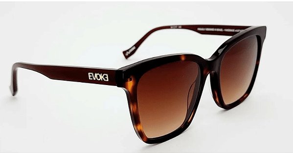 Óculos Evoke For You DS72 BRG21