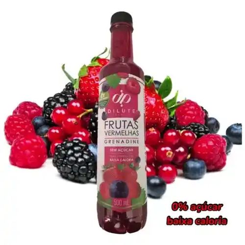 Xarope Dilute Frutas Vermelhas 500ml