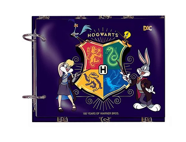 Caderno Argolado Mini Com Fichas Warner - Dac 4464