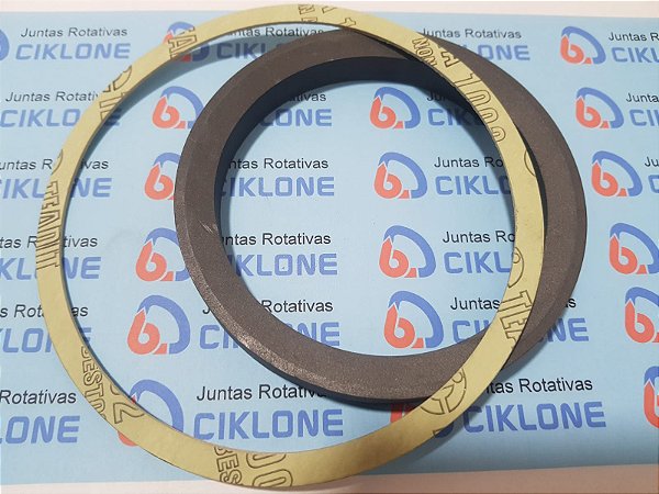KIT REPARO UNIÃO CIKLONE 1074