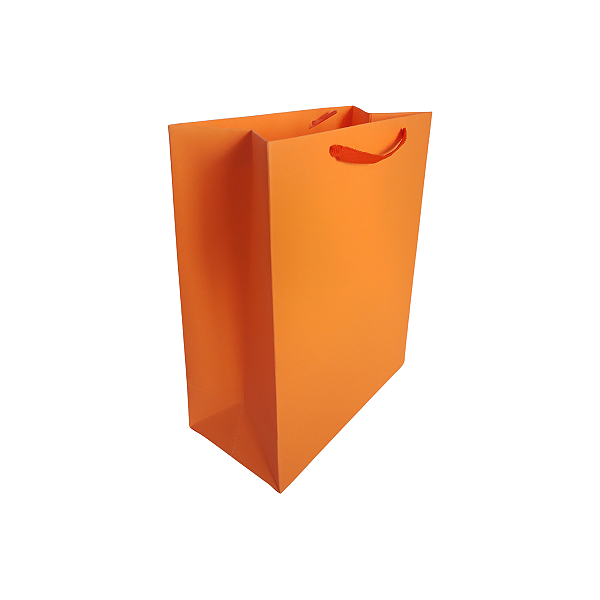 20 Sacolas Coloridas Linha Neon Fluorescente Laranja P –18,5LX22AX9Fcm