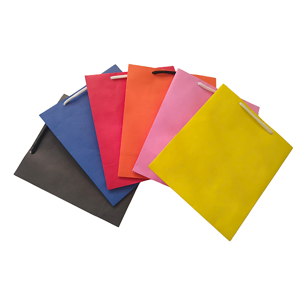 Sacolas de papel Básica 18,5Lx22AX9Fcm C/20 Cores Sortidas