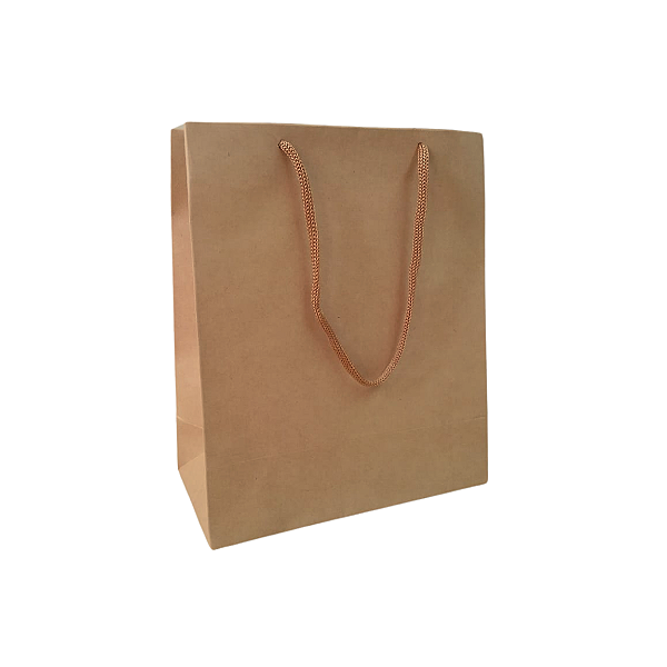 10 Sacolas de Papel Lisas Kraft P - 18,5LX22AX9Fcm