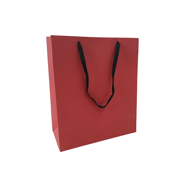 10 Sacolas de Papel Lisas Vermelha P - 18,5LX22AX9Fcm