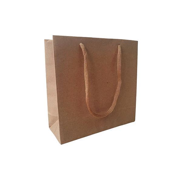 10 Sacolas De Papel Lisas Kraft PP - 15LX15AX6Fcm