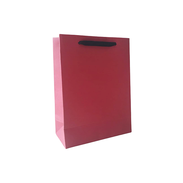 10 Sacolas de Papel Lisas Vermelha P - 15LX22AX7Fcm