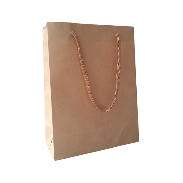10 Sacolas de Papel Lisas Kraft P - 15Lx22Ax7Fcm