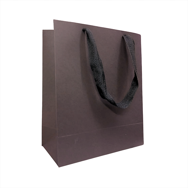 10 Sacolas de Papel Lisas Marrom P - 18,5LX22AX9Fcm