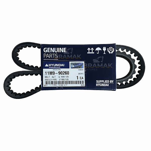 11M990260 - CORREIA