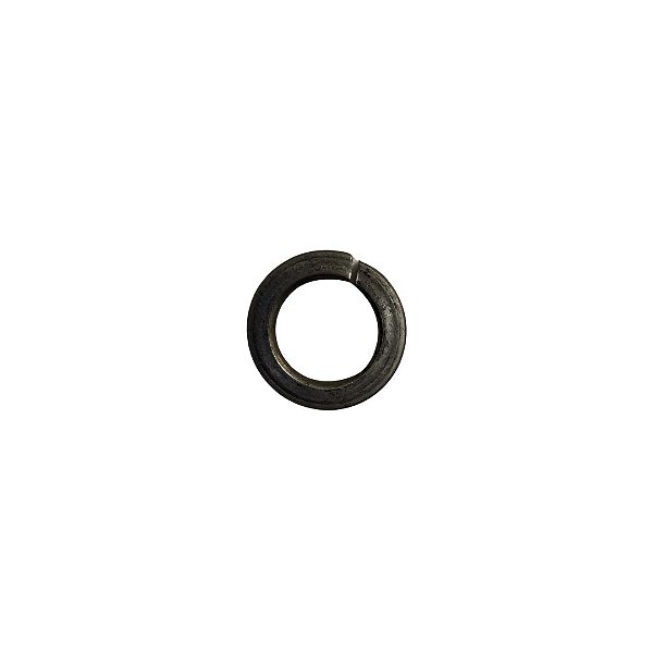 S441200006 - ARRUELA