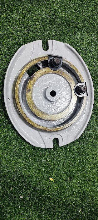 Mesa para morsa adriática