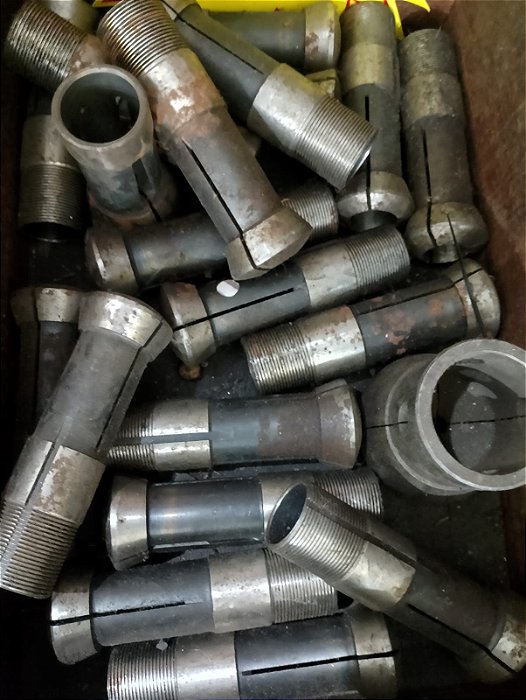 Pinça da pinola TB42